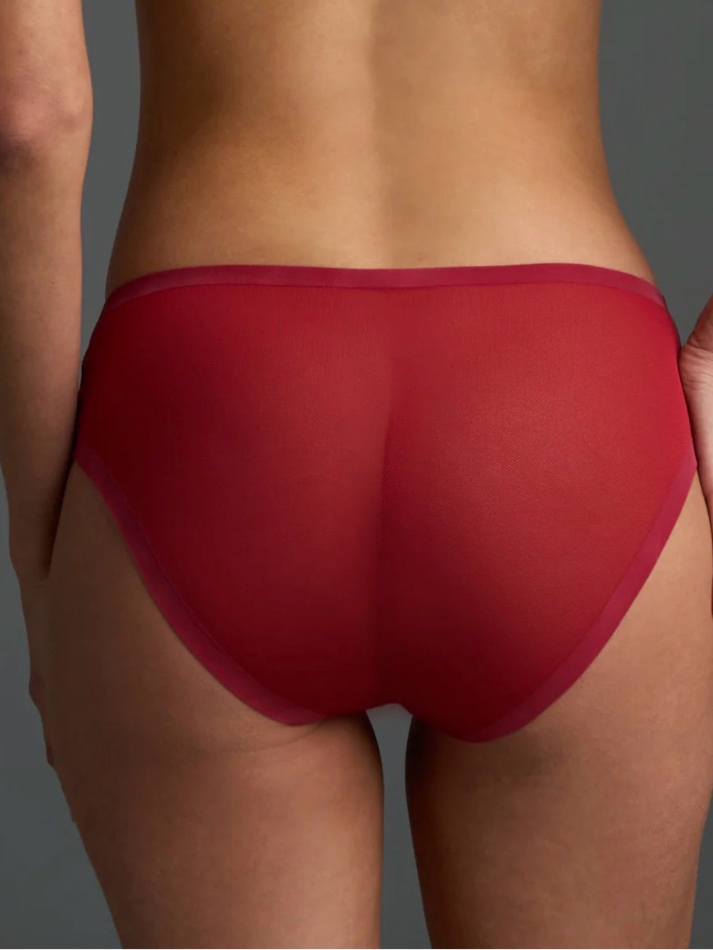 EBY Sheer Brief Underwear NWT